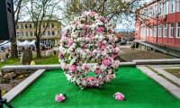 Цветница в Твърдица озарена от 24-ия Регионален фолклорен събор „Пролетни игри и обичаи“