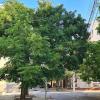 Времето за 24.08.2025 г.